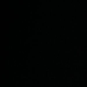 Meet your Posher, Ann